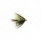 Straggler Olive Uv