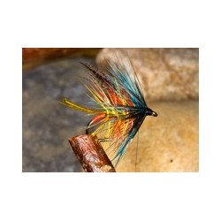 Tel Fly