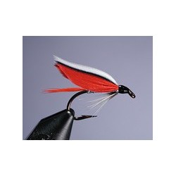 Trout Fin