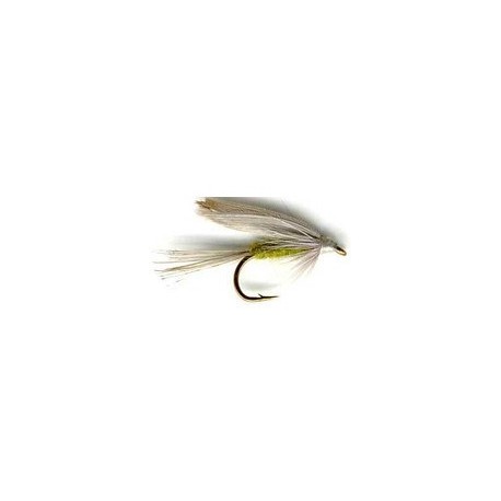 Wet Blue Winged Olive