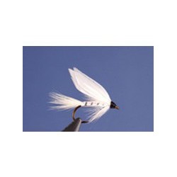 White Miller