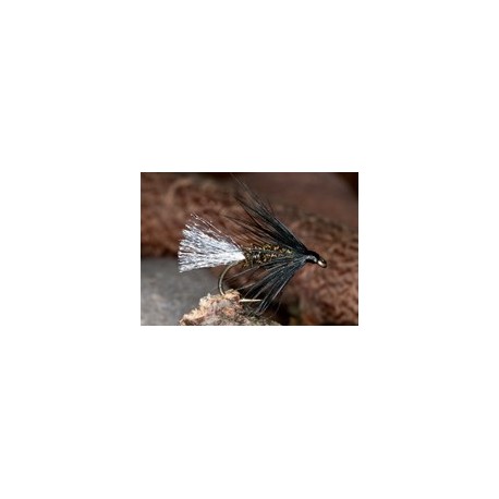 White Tip B&p Spider