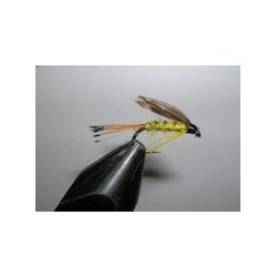 Woodcock and Yellow