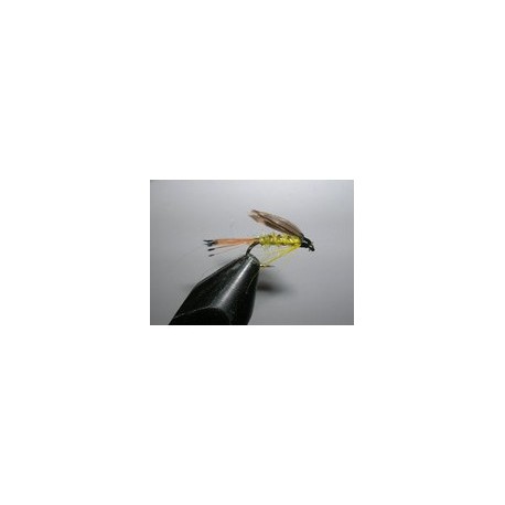 Woodcock and Yellow