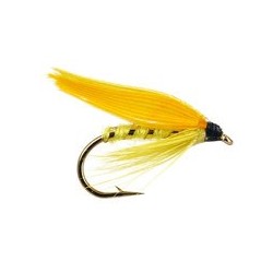 Yellow Sally