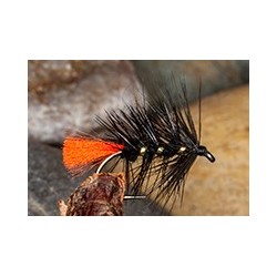 Zulushetland