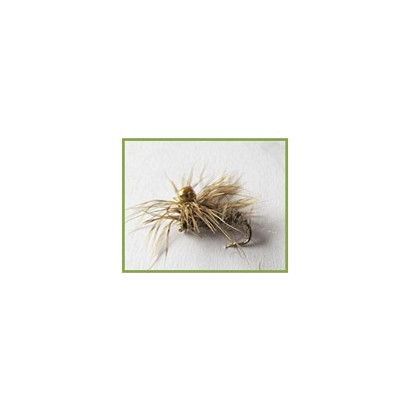 Polyfitus Nymph Hares Ear