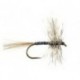 Mosquito Bl