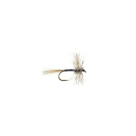Mosquito Bl