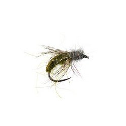 Olive Caddis Pupa Bl