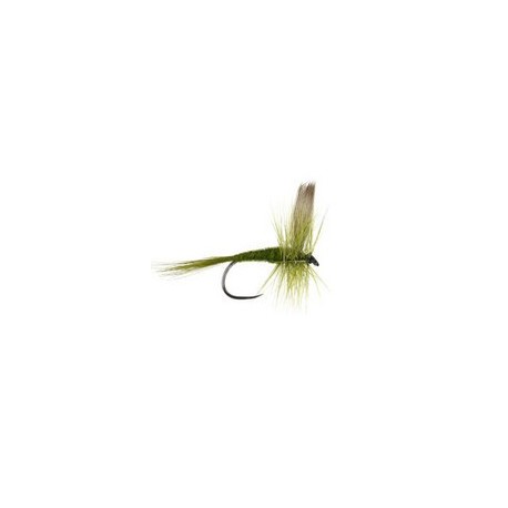 Olive Dun Bl