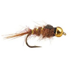 Rose Hares Ear Bh Nymph