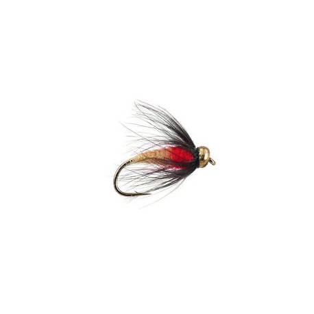 Sedge Pupa