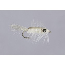 Shrimp Antron Bug