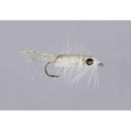 Shrimp Antron Bug