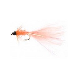 Terrys Taddy Coral