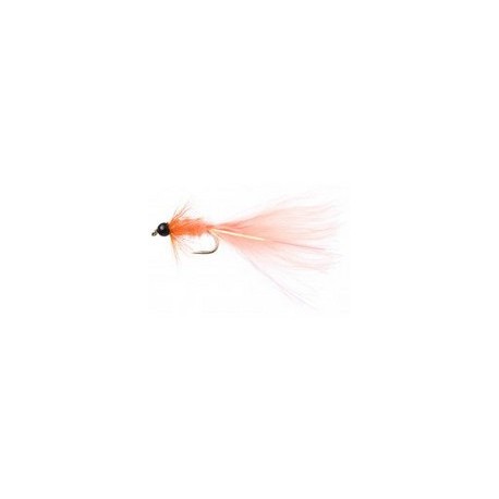 Terrys Taddy Coral