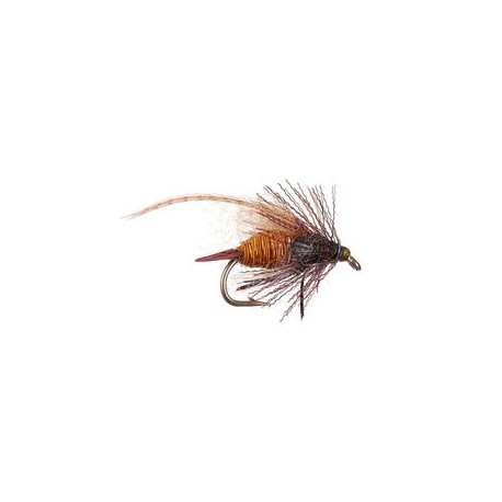 Thurmans Zaddis Amber