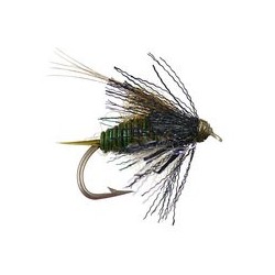 Thurmans Zaddis Olive