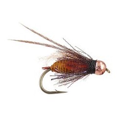 Thurmans Zaddis October