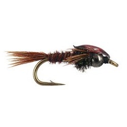 Trinas Nymph Back Pheasant Tail