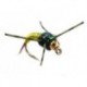 Tung Rl C N Copper Bob Chartreuse