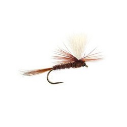 Pheasant Tail Parachute Bl