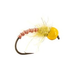 Yellow Nymphwonder