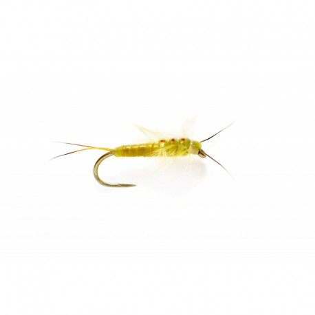 Yellow Sally Stone (Oe) Barbless