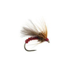 Red Grayling Dream Bl