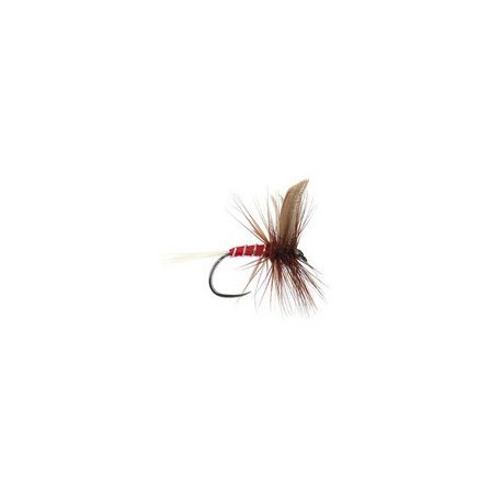 Red Spinner Bl