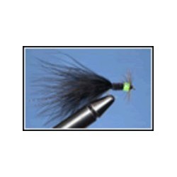 Black Taddy