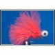 Cactus Booby Bristol Blood