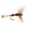 Royal C Dry Bl