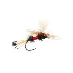 Royal Coochman Parachute Bl