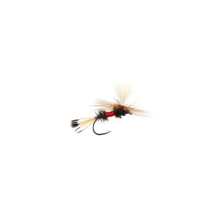 Royal Coochman Parachute Bl