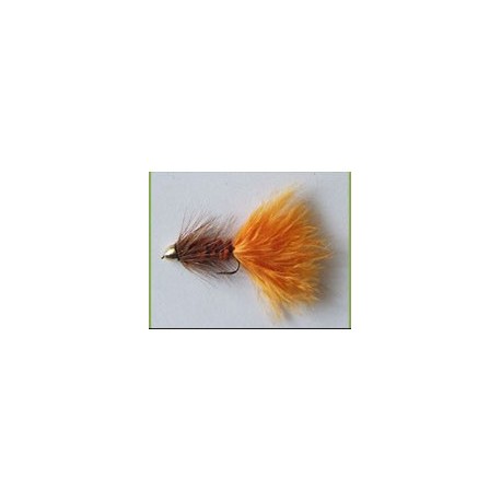 Ch Woolybugger Brown and Orange