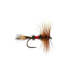 Royal Wulff Bl