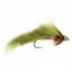 Conehead Forage Fish Olive