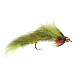 Conehead Forage Fish Olive