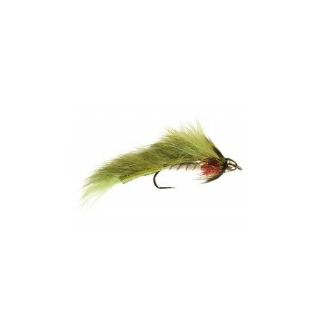 Conehead Forage Fish Olive