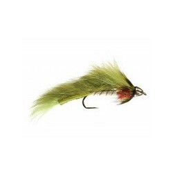 Conehead Forage Fish Olive