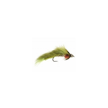 Conehead Forage Fish Olive