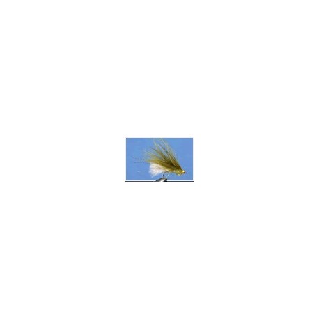Dawson's Olive With White Tail