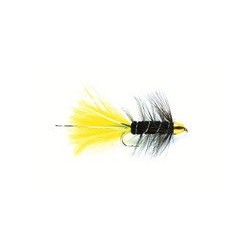 Golden Bullet Black Sunburst