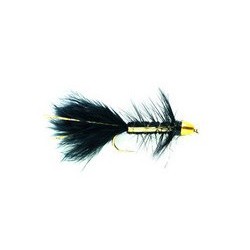 Golden Bullet Black