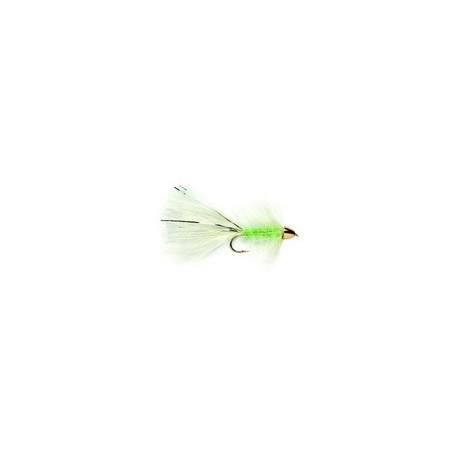Golden Bullet Catwhisker