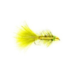 Golden Bullet Olive