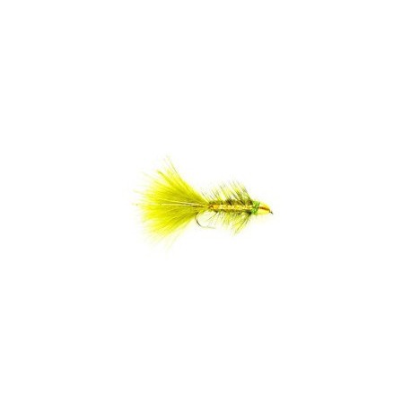 Golden Bullet Olive