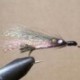 Little Rainbow Trout
